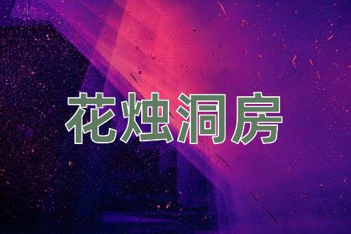 成语花烛洞房