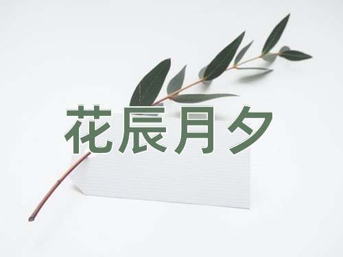 成语花辰月夕