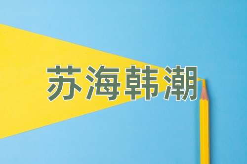 成语苏海韩潮