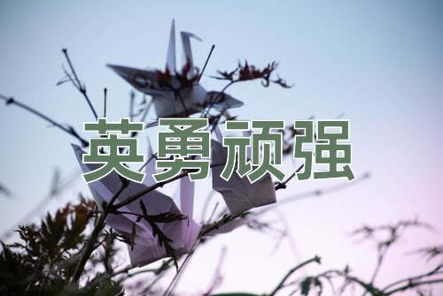成语英勇顽强
