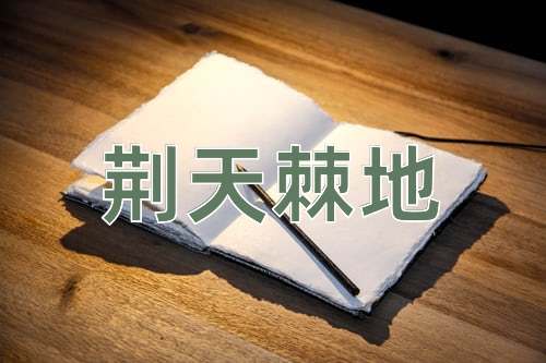成语荆天棘地
