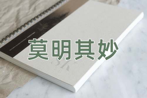 成语莫明其妙