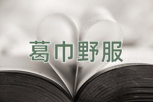成语葛巾野服