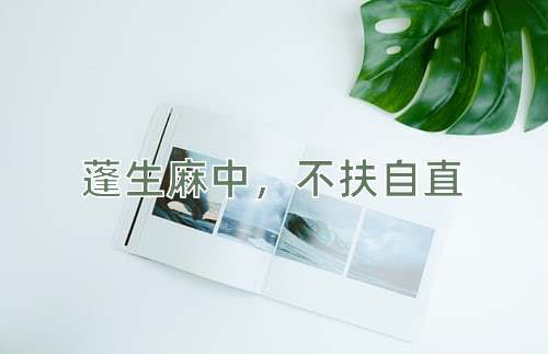 成语蓬生麻中，不扶自直