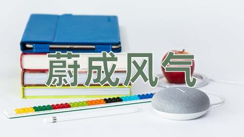 成语蔚成风气