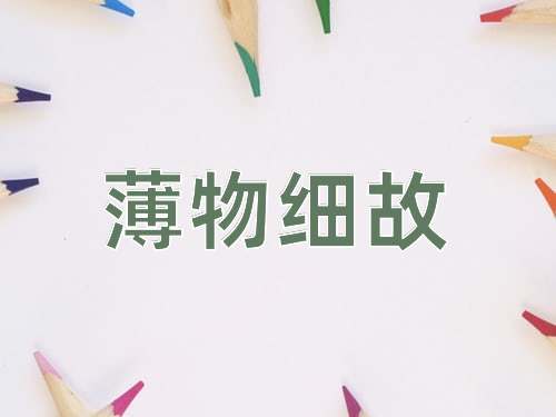 成语薄物细故