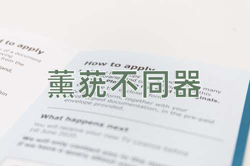 成语薰莸不同器