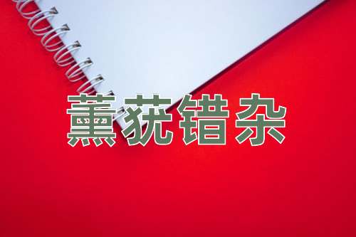 成语薰莸错杂
