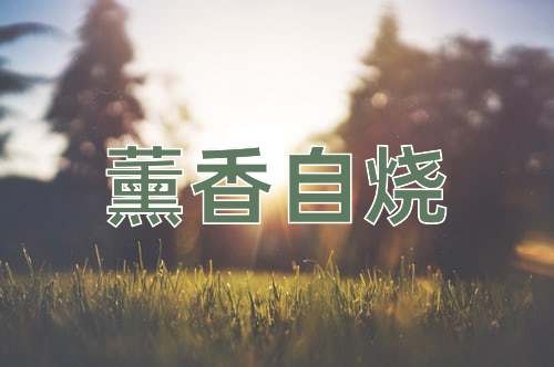 成语薰香自烧