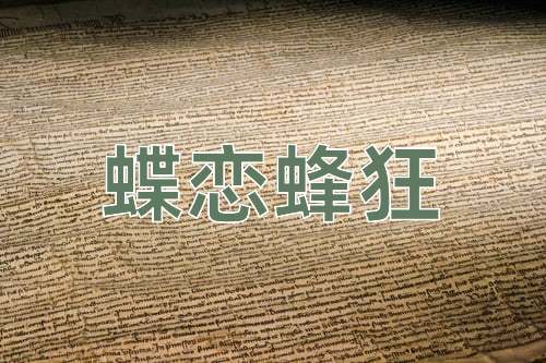 成语蝶恋蜂狂