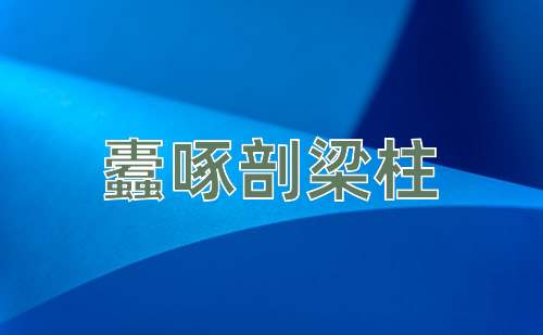 成语蠹啄剖梁柱