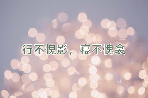 成语行不愧影，寝不愧衾