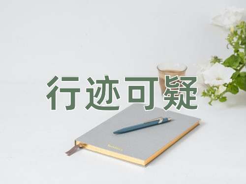 成语行迹可疑