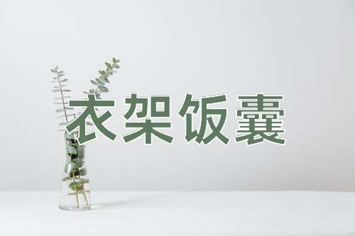成语衣架饭囊