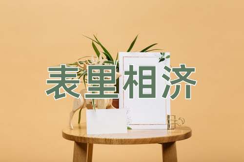 成语表里相济