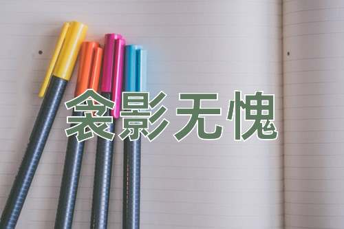 成语衾影无愧