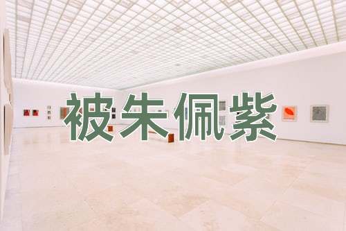 成语被朱佩紫