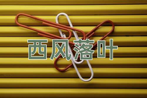 成语西风落叶