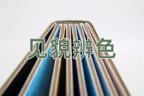 成语见貌辨色