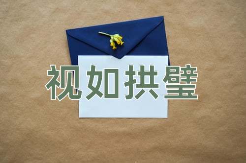 成语视如拱璧