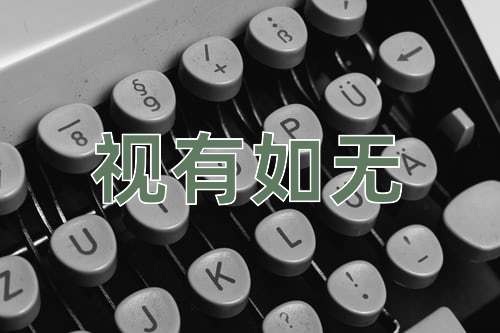 成语视有如无