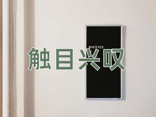 成语触目兴叹