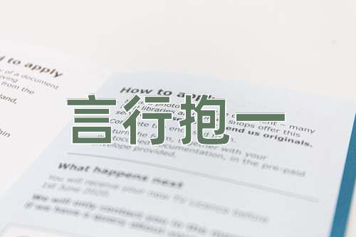 成语言行抱一