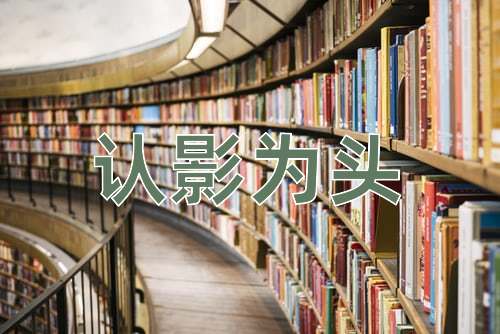 成语认影为头
