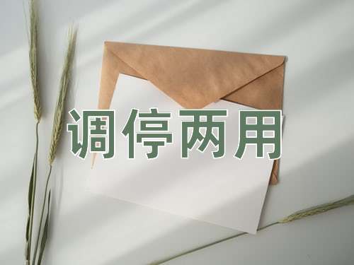 成语调停两用