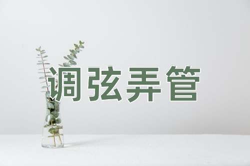 成语调弦弄管
