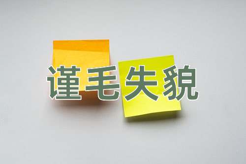 成语谨毛失貌