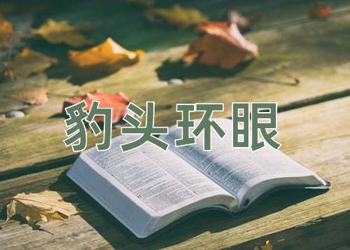 成语豹头环眼
