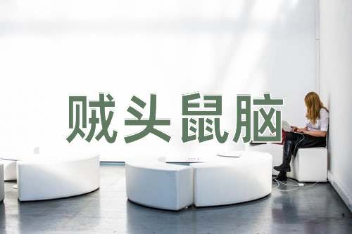 成语贼头鼠脑