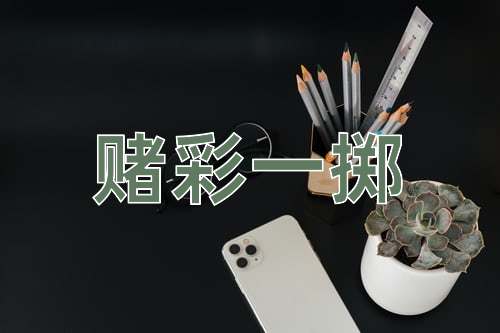 成语赌彩一掷