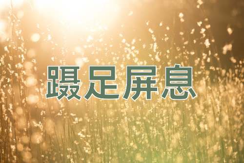 成语蹑足屏息