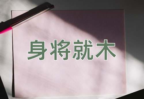 成语身将就木