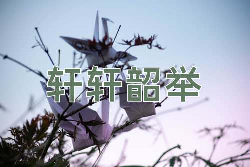 成语轩轩韶举