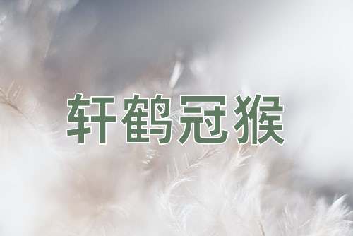 成语轩鹤冠猴