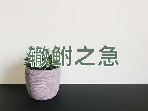 成语辙鲋之急