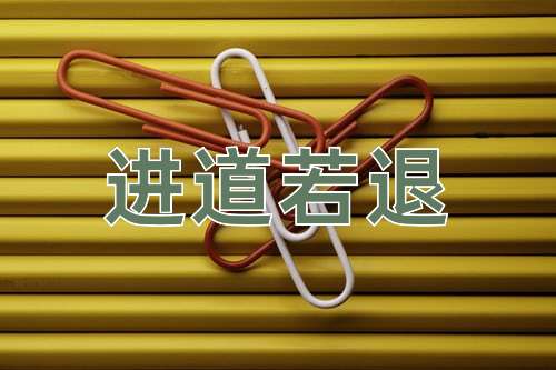 成语进道若退
