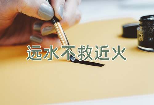 成语远水不救近火