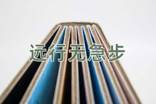 成语远行无急步