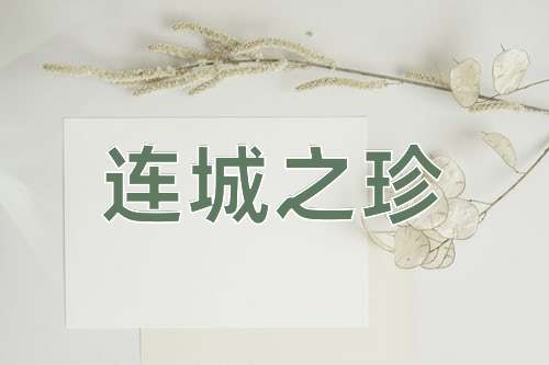 成语连城之珍