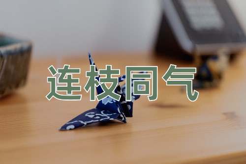 成语连枝同气