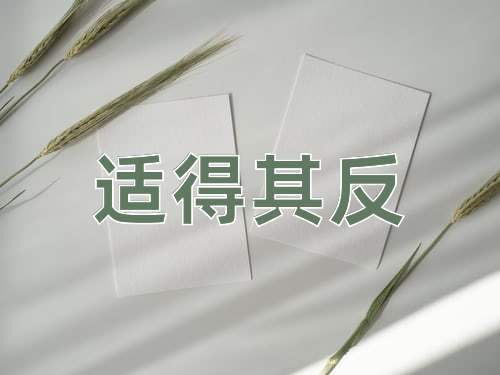成语适得其反