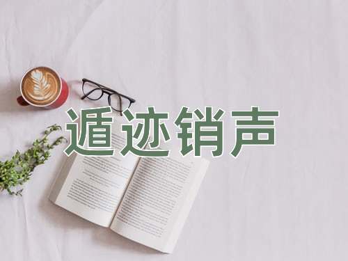 成语遁迹销声