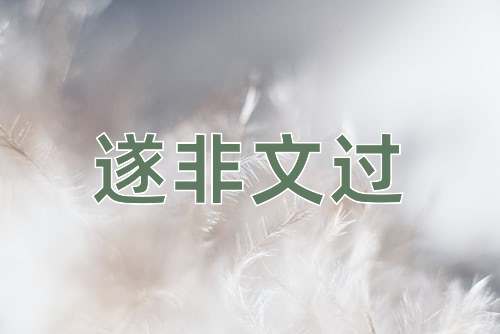 成语遂非文过