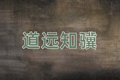 成语道远知骥