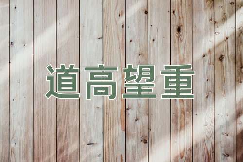 成语道高望重