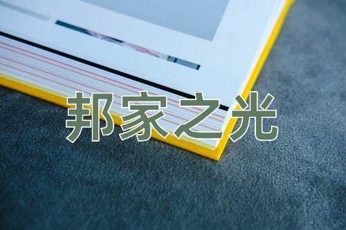 成语邦家之光
